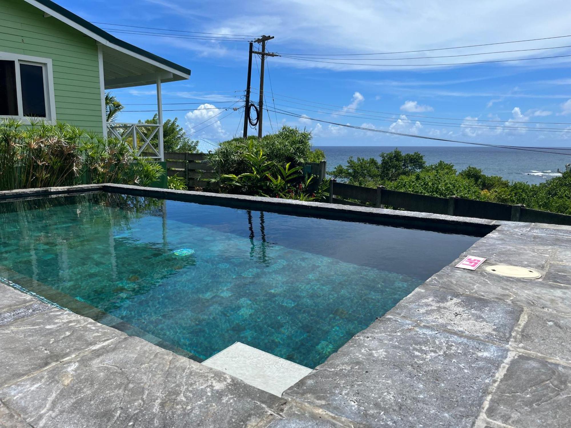 Studio Blu At Waves Villa Guesthouse Brighton Village Екстер'єр фото